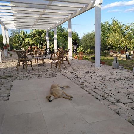 הוילה נוטו Agriturismo Gaia מראה חיצוני תמונה