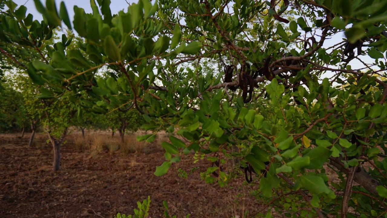 הוילה נוטו Agriturismo Gaia מראה חיצוני תמונה