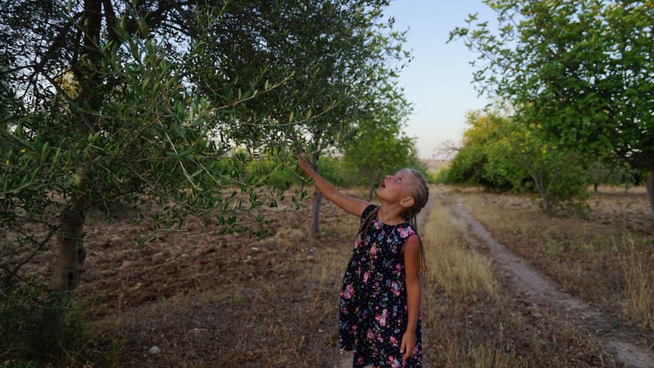 הוילה נוטו Agriturismo Gaia מראה חיצוני תמונה