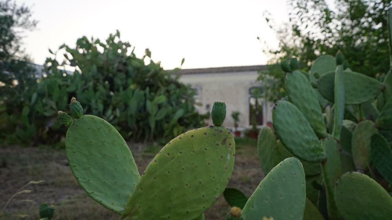 הוילה נוטו Agriturismo Gaia מראה חיצוני תמונה